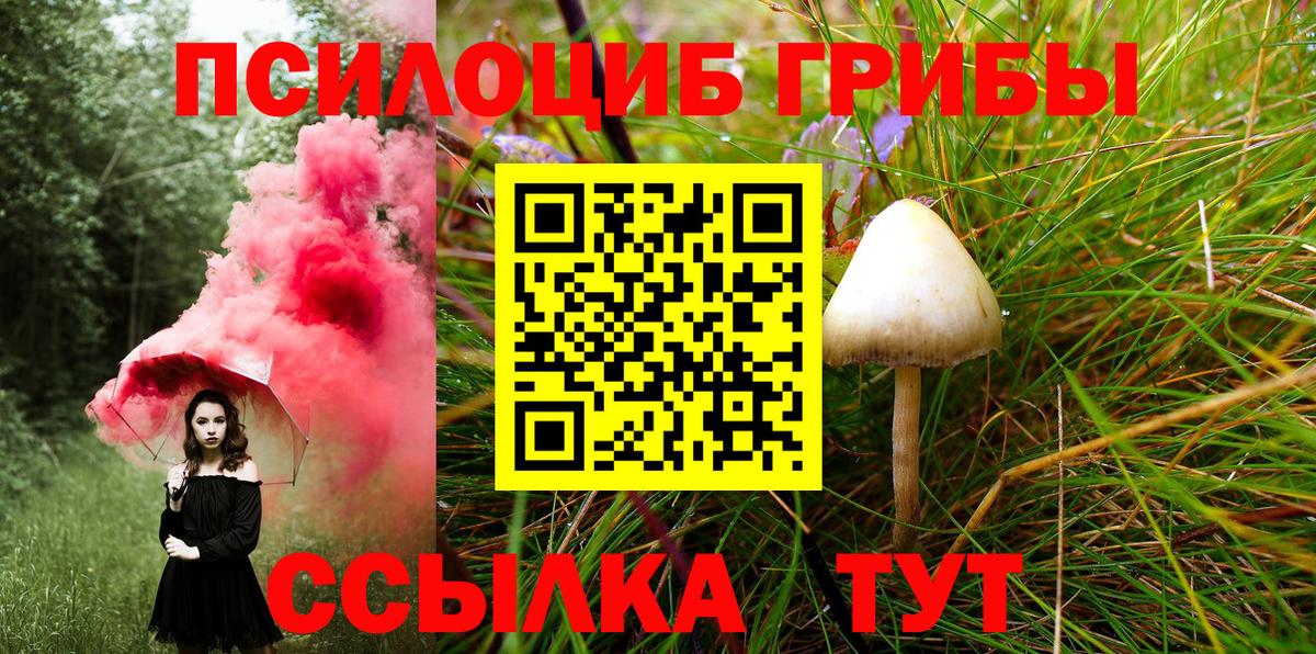 Псилоцибиновые грибы Magic Shrooms Архангельск